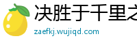 决胜于千里之外网